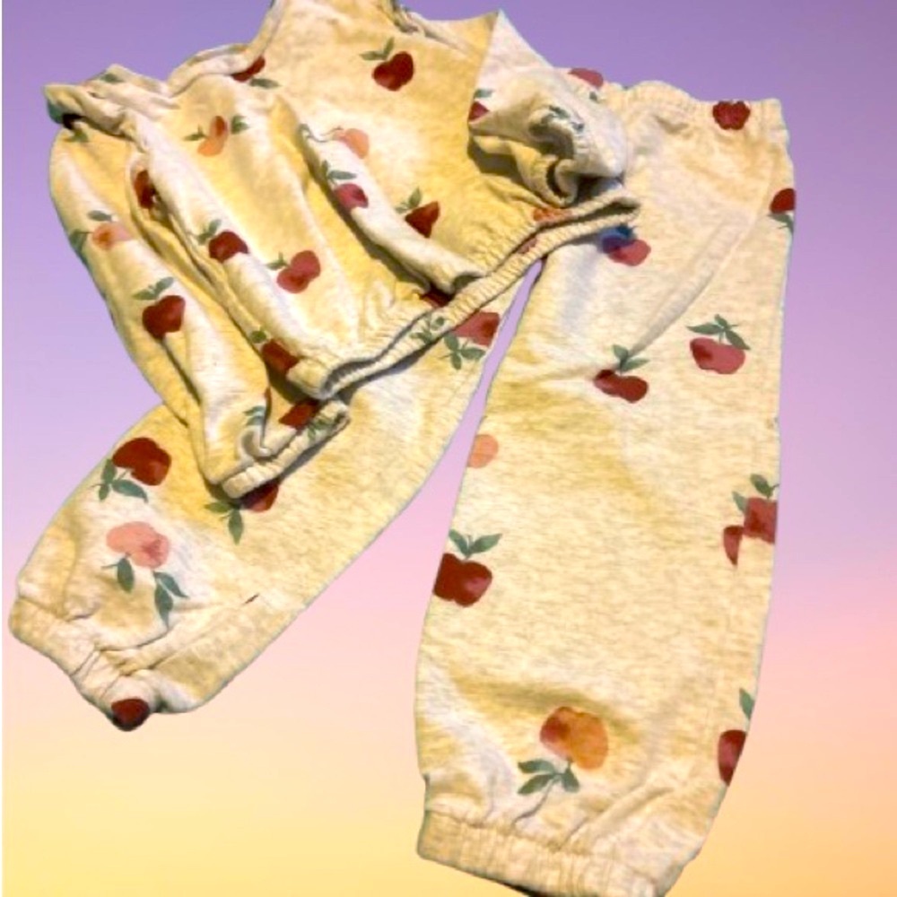 Carter's Red and Light Grey  2piece Sets